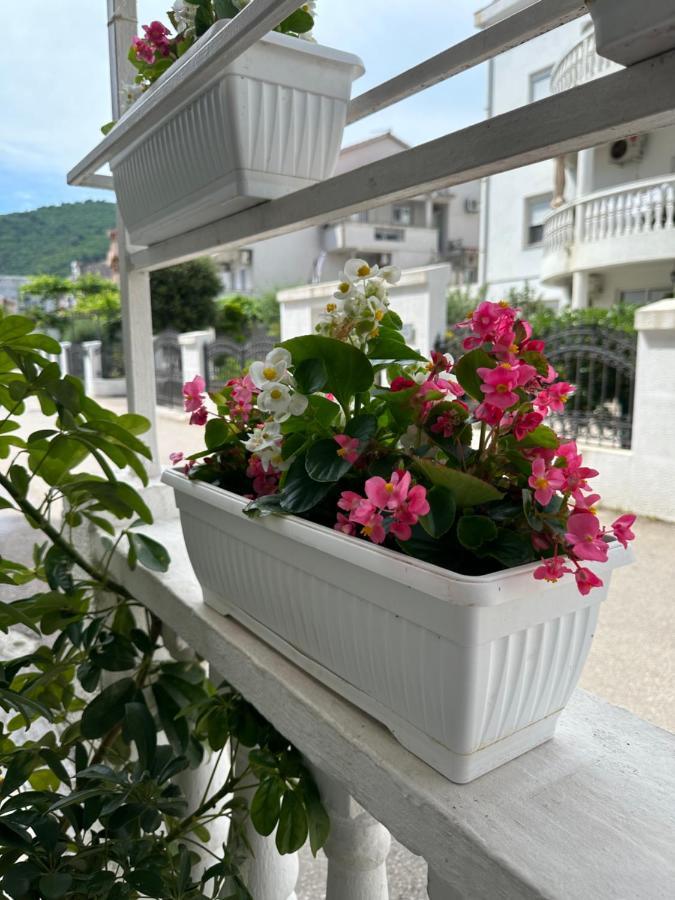 Apartment Jo Budva